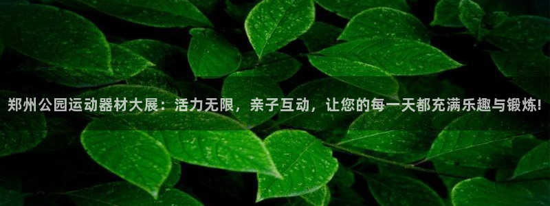 fb体育集团官网网址：郑州公园运动器材大展：活力无限