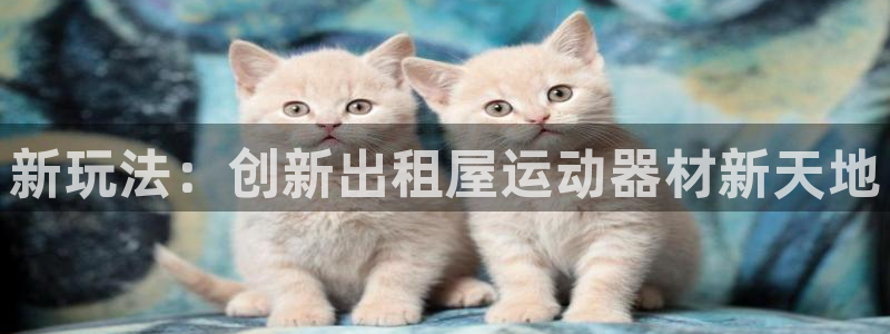 fb体育娱乐平台：新玩法：创新出租屋运动器材新天地
