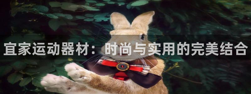fb体育娱乐首页网站大全：宜家运动器材：时尚与实用的完美结合