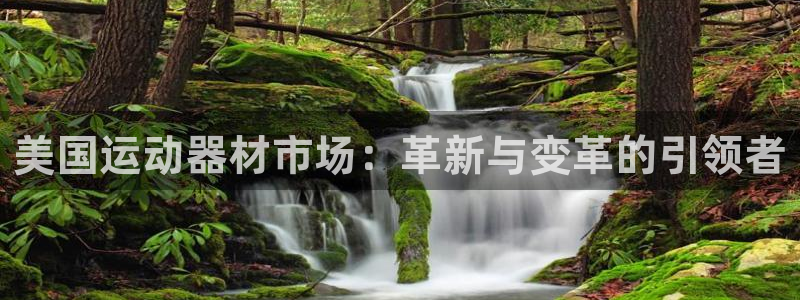 fb体育平台是正规平台吗知乎：美国运动器材市场：革新与变革的