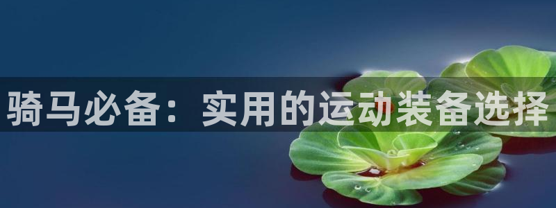 fb体育招商：骑马必备：实用的运动装备选择