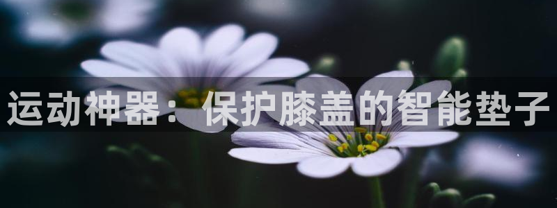 fb体育官方：运动神器：保护膝盖的智能垫子