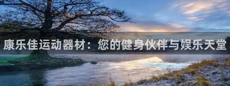 fb体育集团E.ON：康乐佳运动器材：您的健身伙伴与娱乐天堂