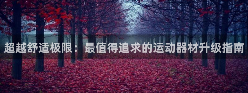 fb体育集团简介：超越舒适极限：最值得追求的运动器材