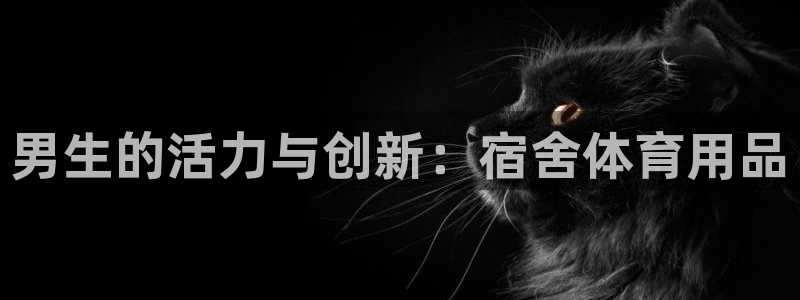 fb体育软件：男生的活力与创新：宿舍体育用品