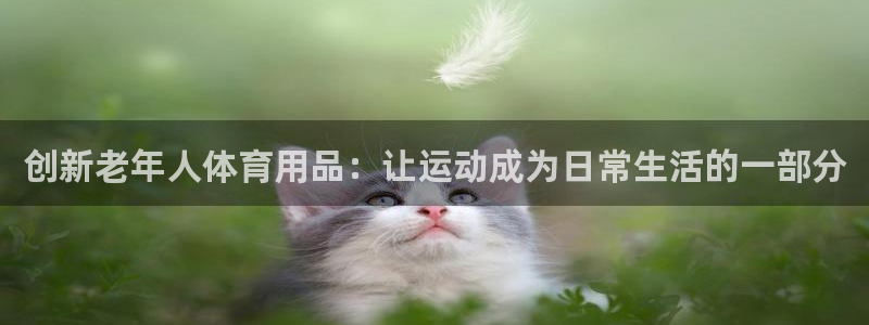 fb体育娱乐是那个系列的台子：创新老年人体育用品：让